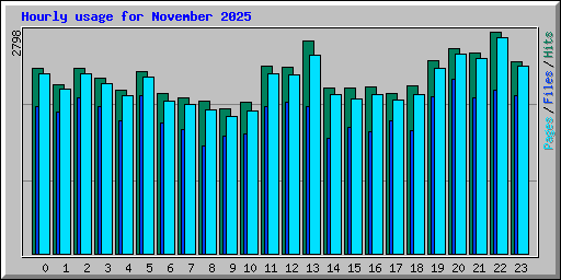 Hourly usage for November 2025